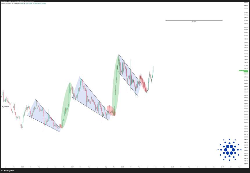 Cardano逆势上涨：ADA成唯一增长的顶级加密资产