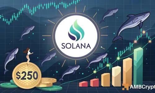 Solana ETF资金流入创纪录，鲸鱼囤积推动价格冲高至250美元预期