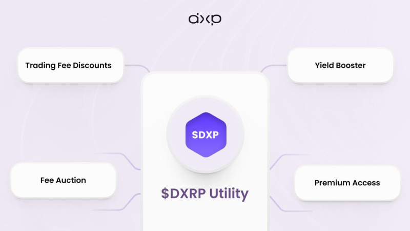 XRPL 上的全新 DEX 即将上线。DeXRP 已融资超过 500 万美元