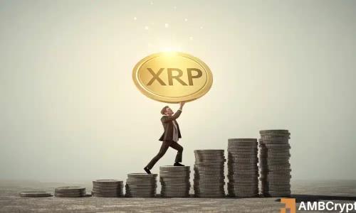 XRP逢低买入热潮涌动：能否引领下一轮反弹？