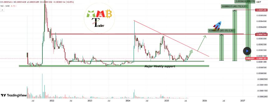 Shiba Inu Analysis/MMBTarder