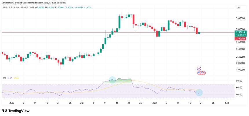 XRP RSI Shows More Room for Growth