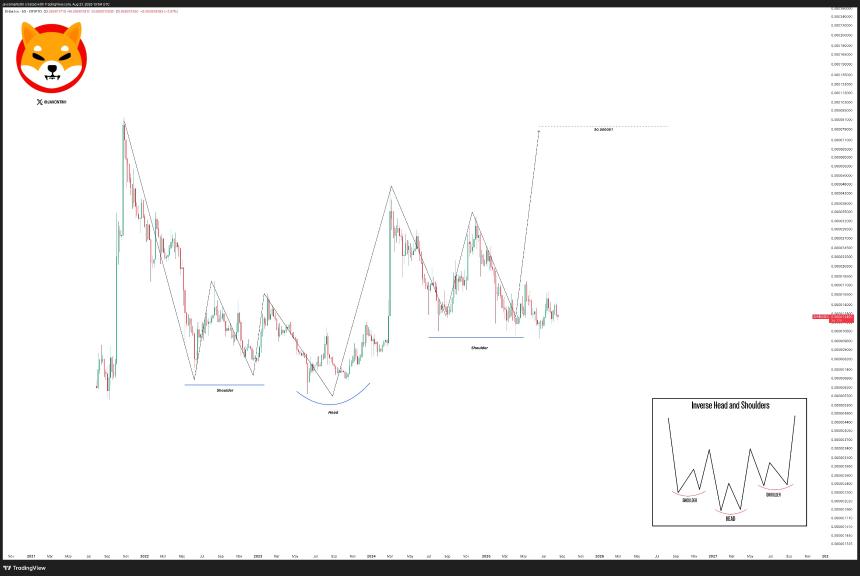 Shiba Inu Chart Javon Marks