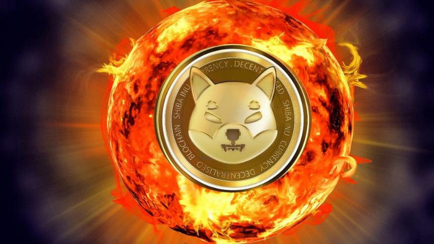 Shiba Inu Resumes its Soaring Burn Streak, Spikes by 120%