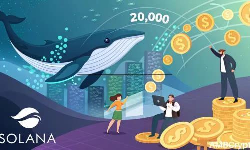 Solana鲸鱼推高期货需求，211美元高位隐现回调风险