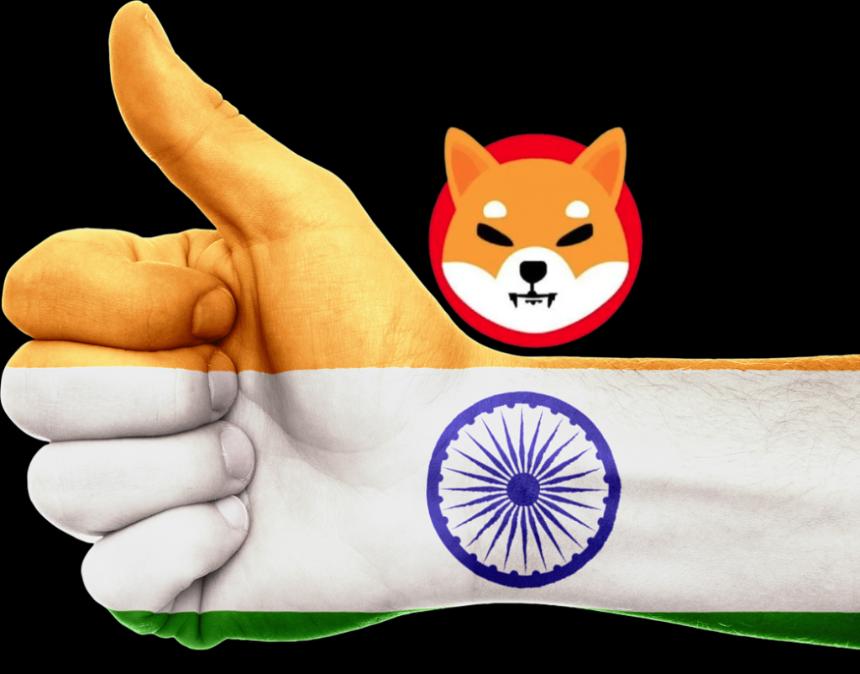 shiba inu india shib