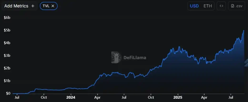 ZORA暴涨背后的链上文化扩张之路