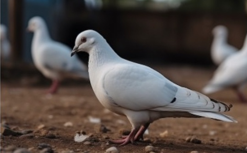 鲍威尔杰克逊霍尔讲话暗藏玄机：降息或为防御而非复苏信号