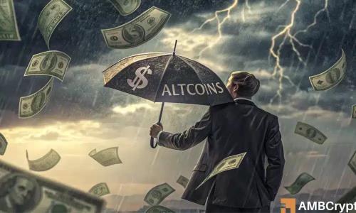 山寨币持仓暴增617亿美元，市场回调暗藏风险