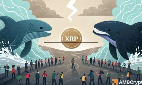 XRP鲸鱼抛售加剧 散户逆势吸筹 市场趋势何去何从？