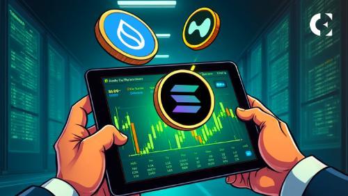 企业资产负债表增持高增长山寨币，SUI、SOL、HYPE成新宠