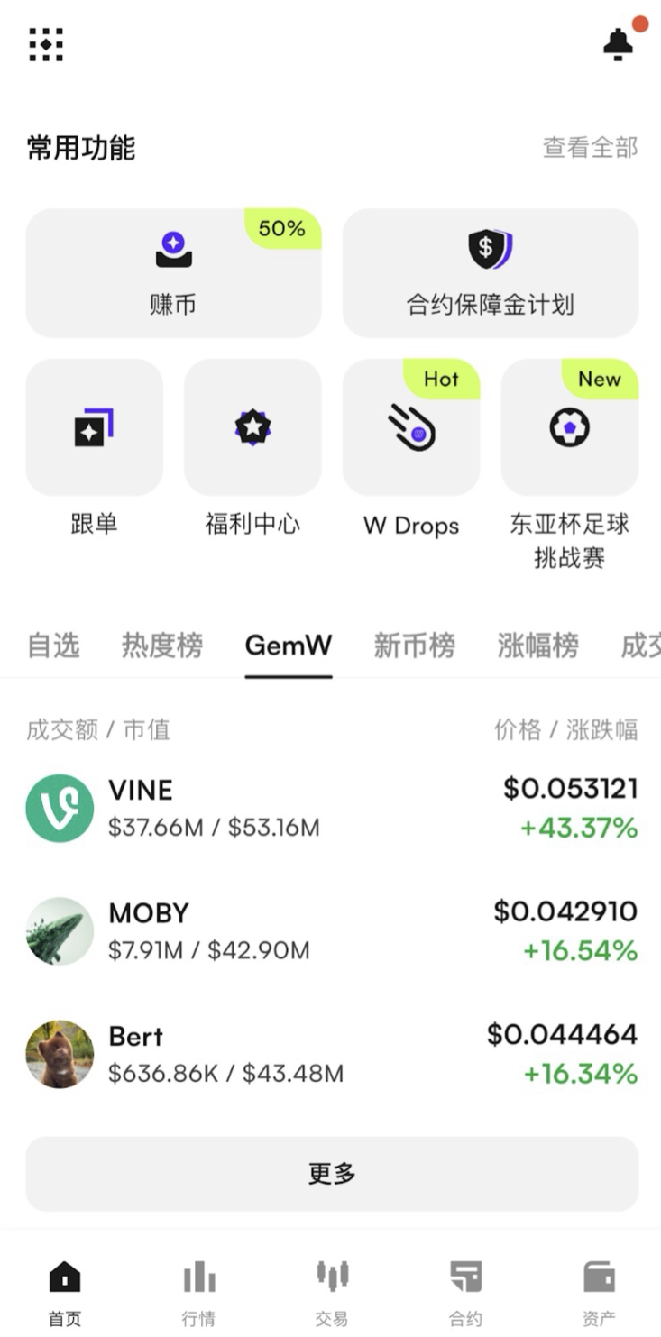 GemW界面