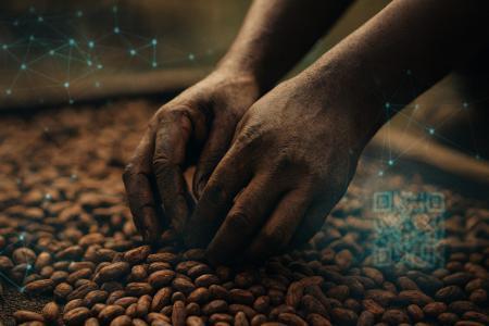 区块链助力加纳可可产业根除童工：Fedrok与FarmRight启动透明供应链试点