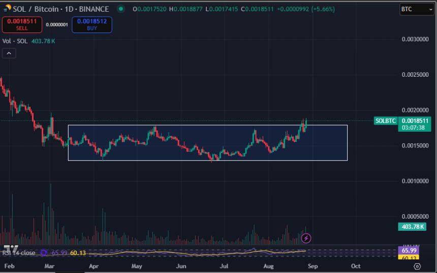 加密货币交易员预测比特币将在2025年回调，称以太坊竞争对手即将迎来“史诗级”突破
