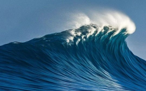 特朗普家族支持的WLFI代币估值超400亿美元，9月1日上线引爆市场