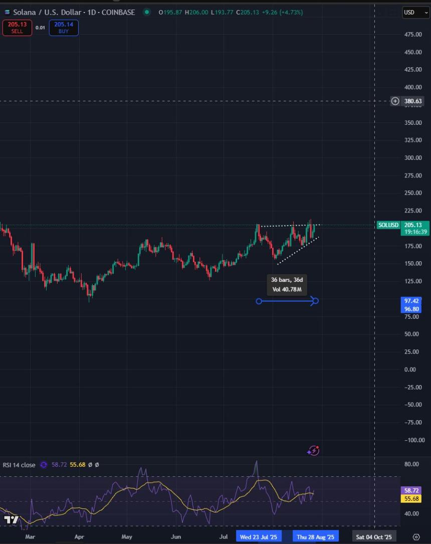 加密货币交易员预测比特币将在2025年回调，称以太坊竞争对手即将迎来“史诗级”突破