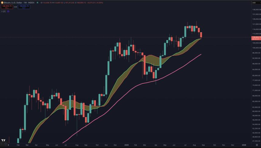 比特币主导地位或将反弹：分析师揭示三大原因 山寨币市场面临挑战