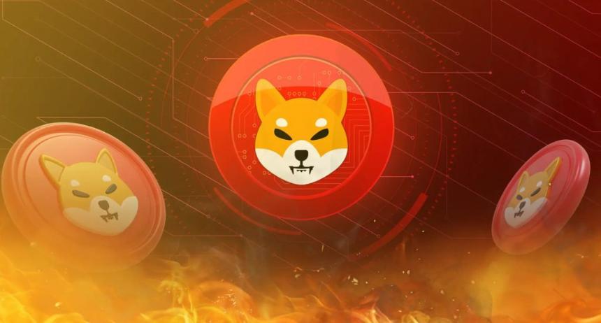 Shiba Inu SHIB Burn Rate Explodes 10,786%