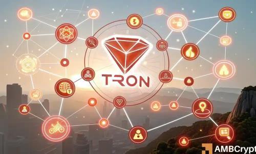 Tron活跃地址破248万，小型钱包推动USDT转账热潮