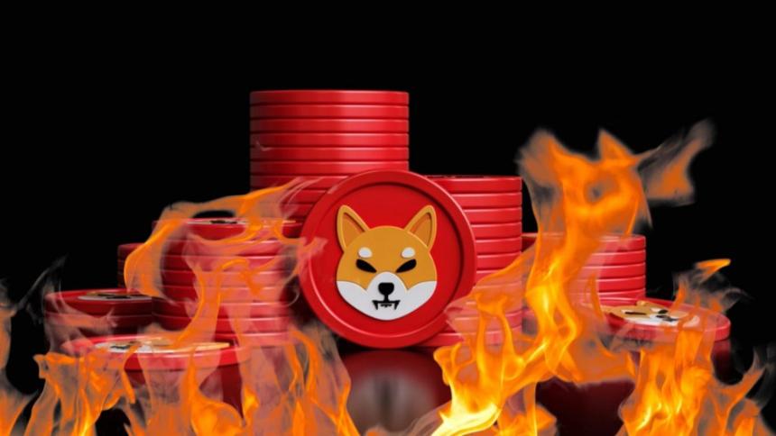 Shiba Inu Burn Rate Goes Parabolic, Surges 5600%