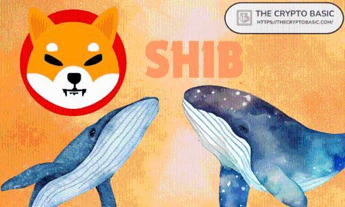 Shiba Inu前10钱包掌控62.3%供应量，所有权集中度超ETH与UNI