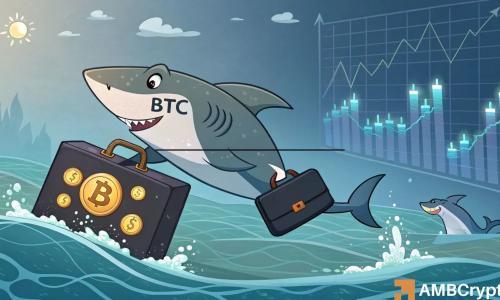 比特币站稳11万美元关键支撑，散户与鲨鱼齐囤引发市场趋势研判