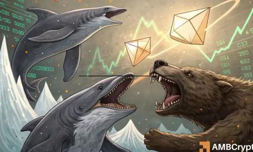 NEIRO巨量抛售引发市场动荡，价格跌破0.07美元