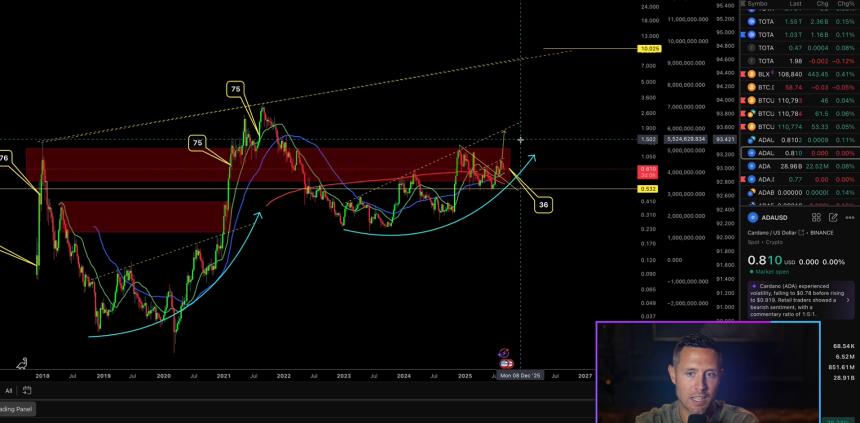 Cardano Risk Score Chart