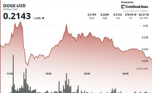 狗狗币突破0.22美元阻力位在即 市场聚焦ETF进展与机构资金动向