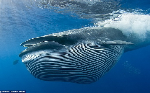 DeFi利差套利策略解析：巨鲸如何用1000万美金实现104%年化收益