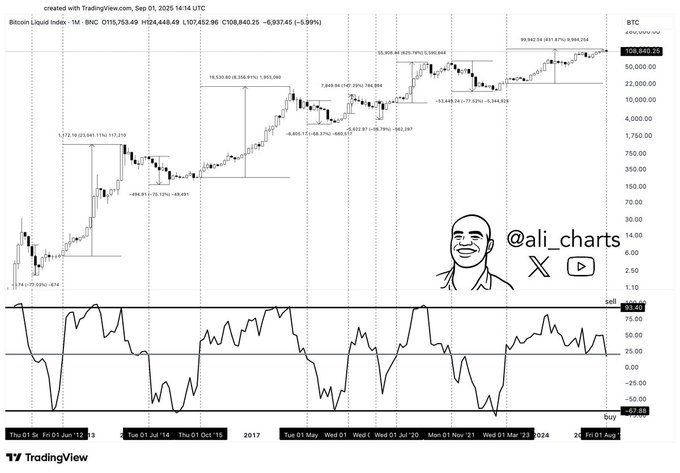 图表显示了比特币价格随时间的变化，包含蜡烛图模式和趋势线。下方的小图表展示了钱德动量震荡指标 (CMO)，数值在 20 上下波动。画面中还可见到阿里 (@ali_charts) 的卡通形象，面带微笑，旁边标注了‘ali_charts X’。叠加的文字包括价格水平、2017 至 2024 年的日期和技术指标。