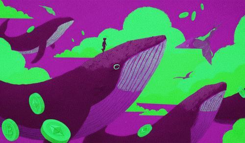 巨鲸机构囤积近10亿美金以太坊，链上数据揭示市场新动向