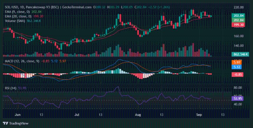 Solana是否准备好突破210美元或跌破197美元？