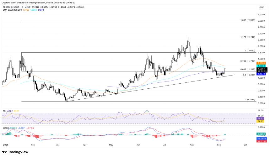  加密货币涨幅最大：SPX6900、Worldcoin 延续涨势，Pump.fun 遭遇阻力 