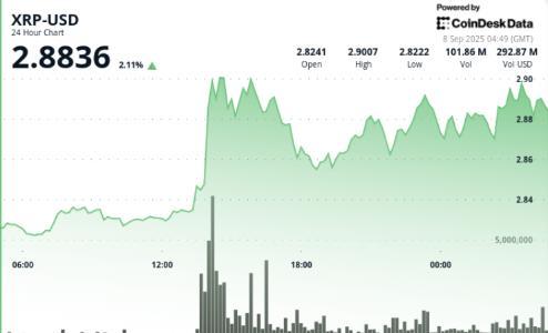 XRP突破2.90美元关口遇阻 市场聚焦美联储降息与ETF进展