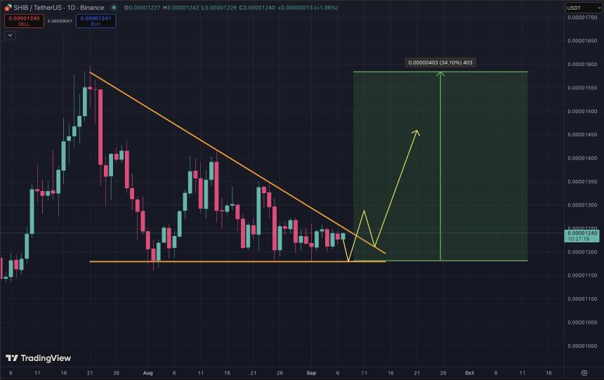 柴犬三角突破的潜在目标是上涨27%至0.0000159美元——顶级专家