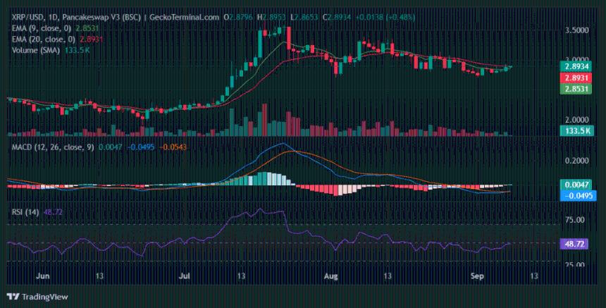 XRP价格走势分析：若跌破2.94美元关口或将迎来突破