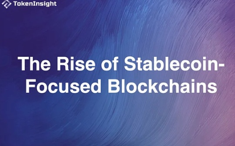 稳定币热潮催生专属链：Arc、Stable、Plasma与Tempo重塑结算格局