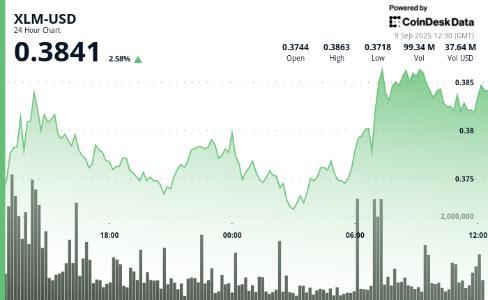 恒星币XLM 23小时涨4%机构入场推动价格突破0.38美元