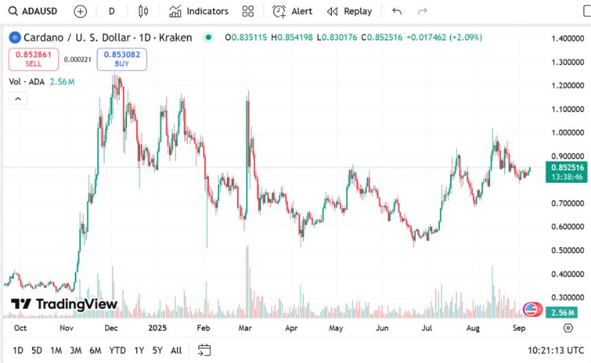 Cardano价格承压或跌破0.5美元，Remittix预售火爆成市场新宠