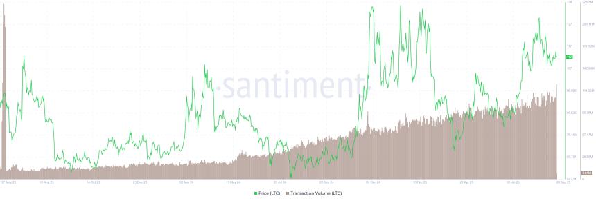 莱特币价格分析：新隐私钱包推出或推动LTC反弹