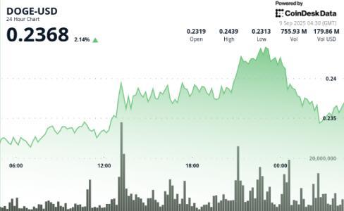 狗狗币24小时波动5.7%：巨鲸吸筹逼近0.244美元阻力