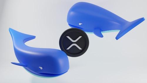 XRP资金流量突破60，鲸鱼逢低吸纳助推实时结算革新