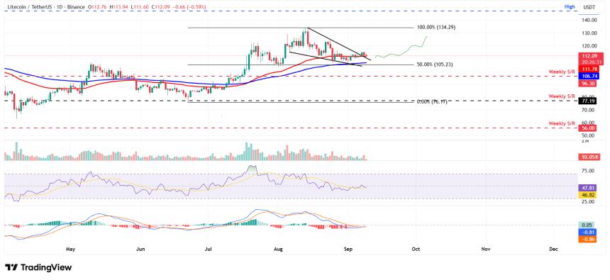 莱特币价格分析：新隐私钱包推出或推动LTC反弹