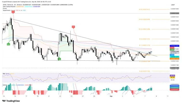  美联储降息猜测升温，模因币价格上涨 