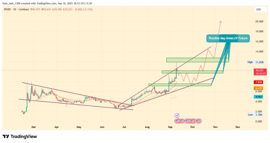 IP价格预测：短暂回调后能否突破20美元大关？