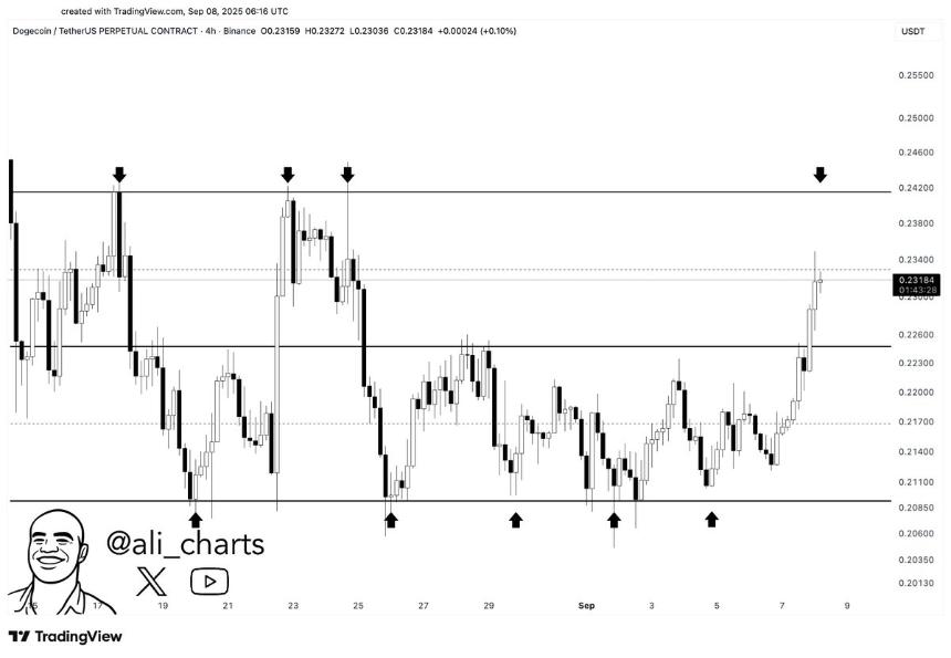 A candlestick chart displaying Dogecoin price movements over time, with vertical lines and arrows marking key levels. The chart includes price levels ranging from 0.2000 to 0.2420 on the y-axis and dates from September 16 to October 7 on the x-axis. A watermark from TradingView is visible, along with text overlay reading "@ali_charts" and "Dogecoin $DOGE targets the top of the channel at $0.242!".