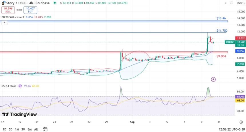 Story IP 创下历史新高——牛市能否进一步推高价格？