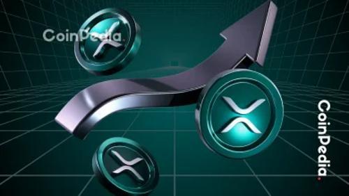 山寨币市值逼近纪录 预示新高峰？XRP技术面现关键支撑