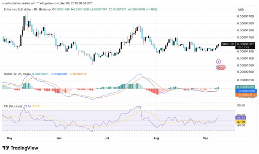 SHIB technical chart with MACD and RSI indicators